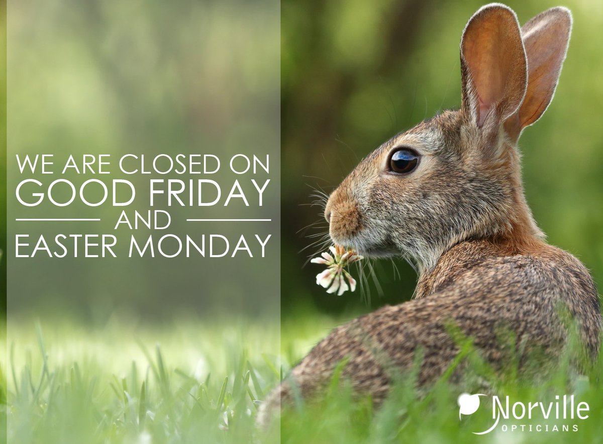 Just a reminder 🤓🐰🥚