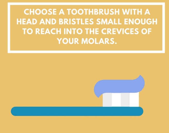 ChopykDMD's tweet photo. #TuesdayTip 
#dentistry #toothbrushtip #oralcare https://t.co/Bv9l7KcKmU
