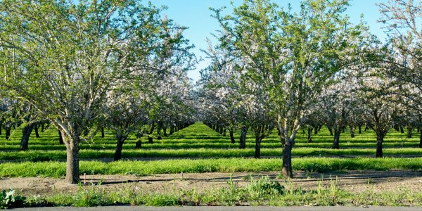 This one farming corporation in California guzzles more water than all of LA. ow.ly/lsXg30jblDE