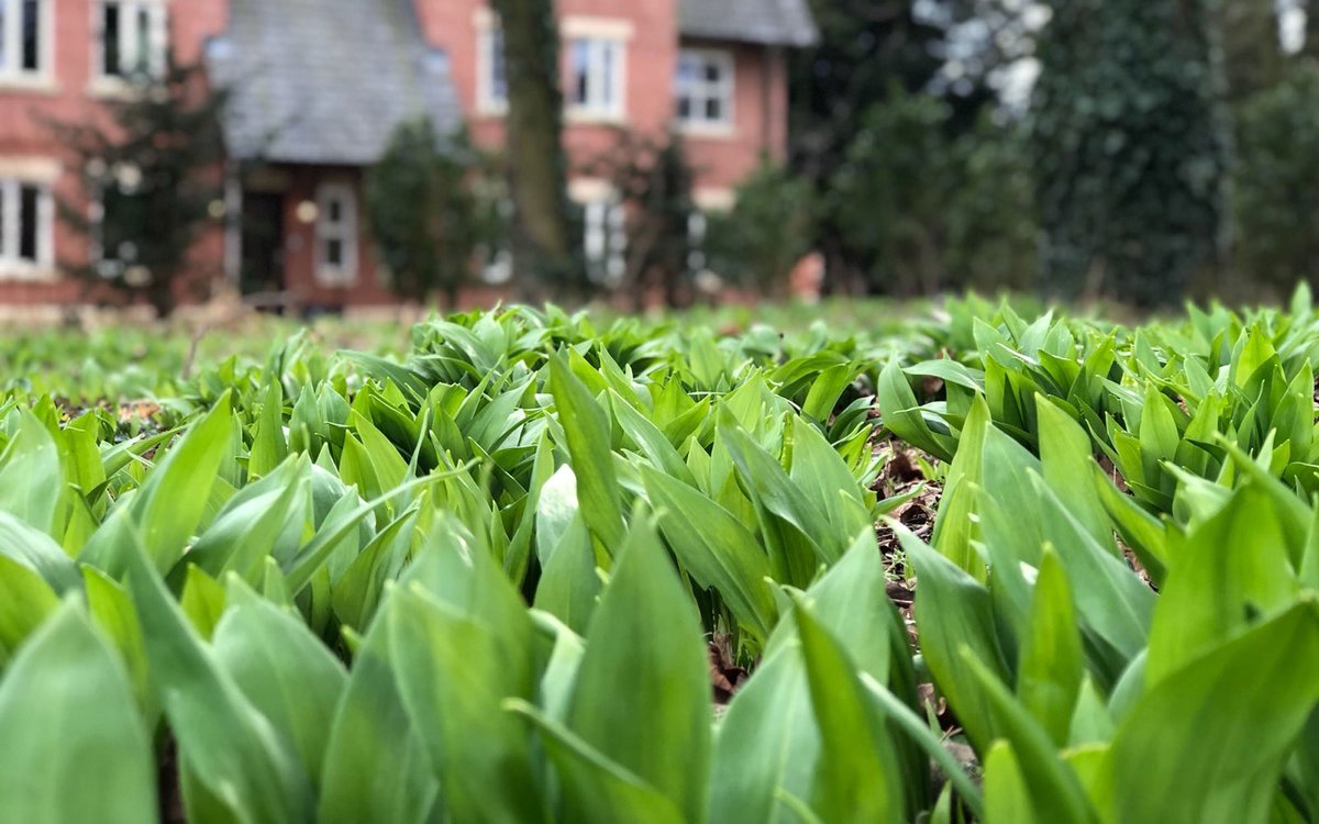 Rockliffe Hall tweet media