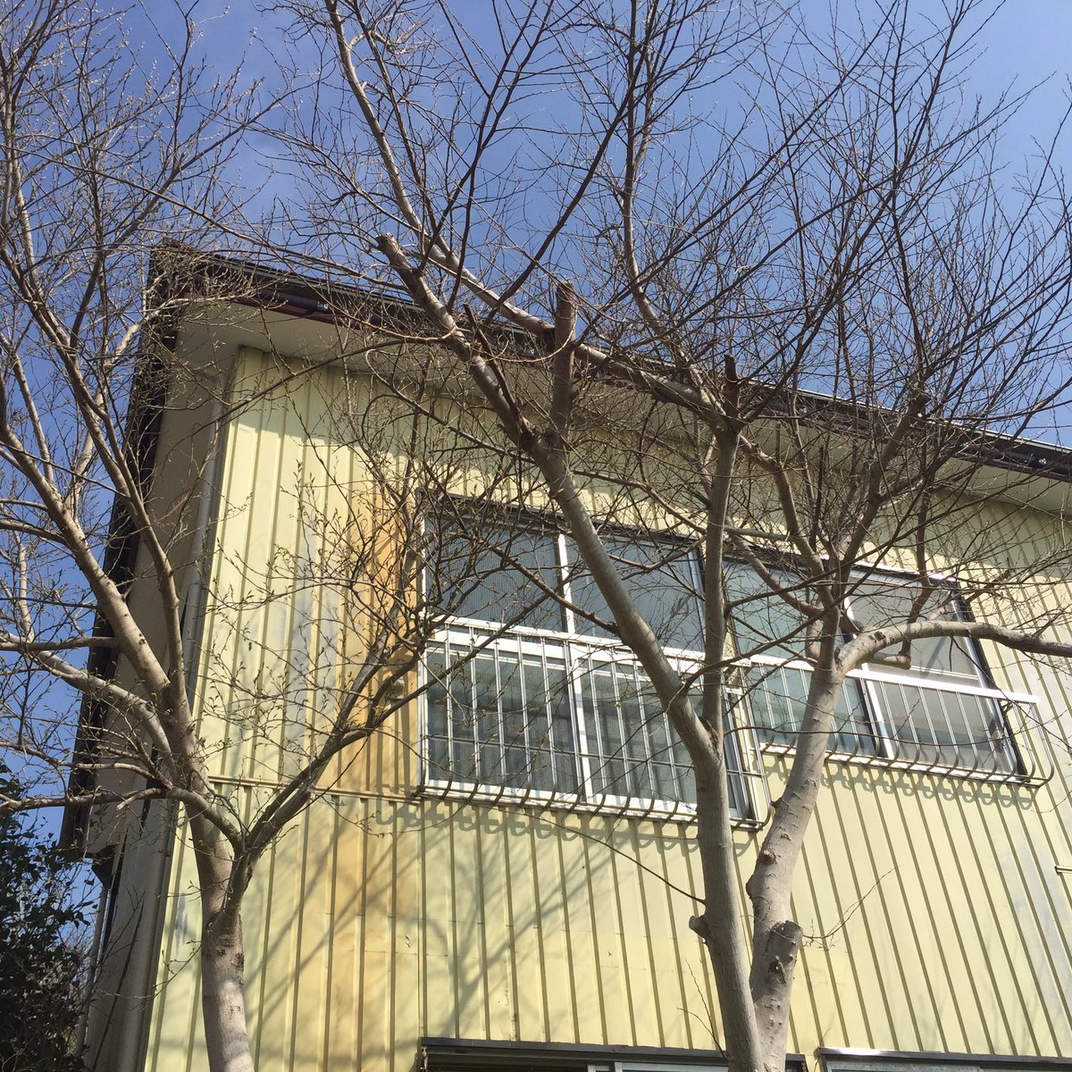 まめ A Twitter 昨日からスタートした 空き家project 古いアパートをリノベーション 壁を壊すことがこんなに大変だったとは あらためて職人のすごさを認識 空き家 空き家プロジェクト リノベーション 建築 佐倉市 リフォーム 建築家とつくる家 空き家 まめ A Twitter 昨日からスタートした 空き家project 古いアパートをリノベーション 壁を壊すことがこんなに大変だったとは あらためて職人のすごさを認識 空き家 空き家プロジェクト リノベーション 建築 佐倉市 リフォーム 建築家とつくる家 空き家