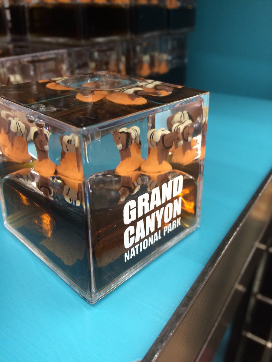 KatBoniface's tweet image. Going from #ASEH2018 to the Grand Canyon was a bit surreal. We saw lots of overly tame wildlife, snow, #andburros