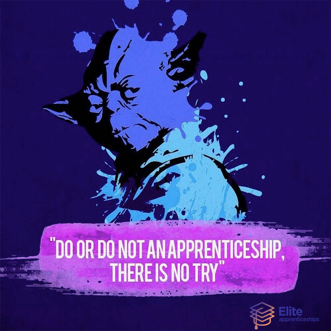 EliteApprentice's tweet image. 