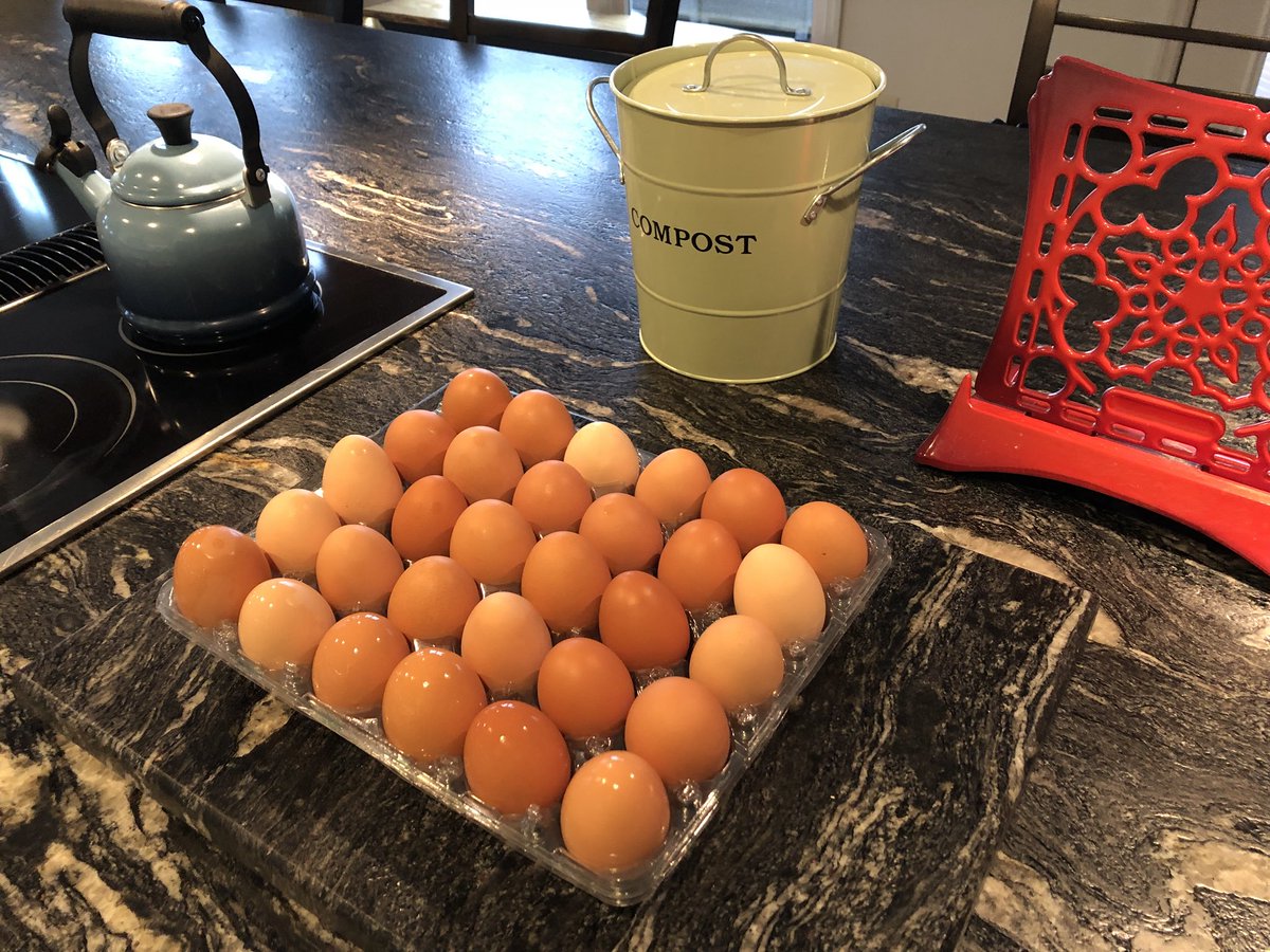 JSKuntz's tweet photo. @lecreuset I desperately want a cute egg carton, but this little one for 6 🥚 won’t do me much good! @lecreuset any chance you’ll be offering a larger size?? #IHaveChickens #eggs #countrylife https://t.co/N2eOAiyfRX