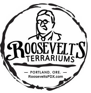 Crystals, Rocks &amp; Minerals conta.cc/2GekCi4