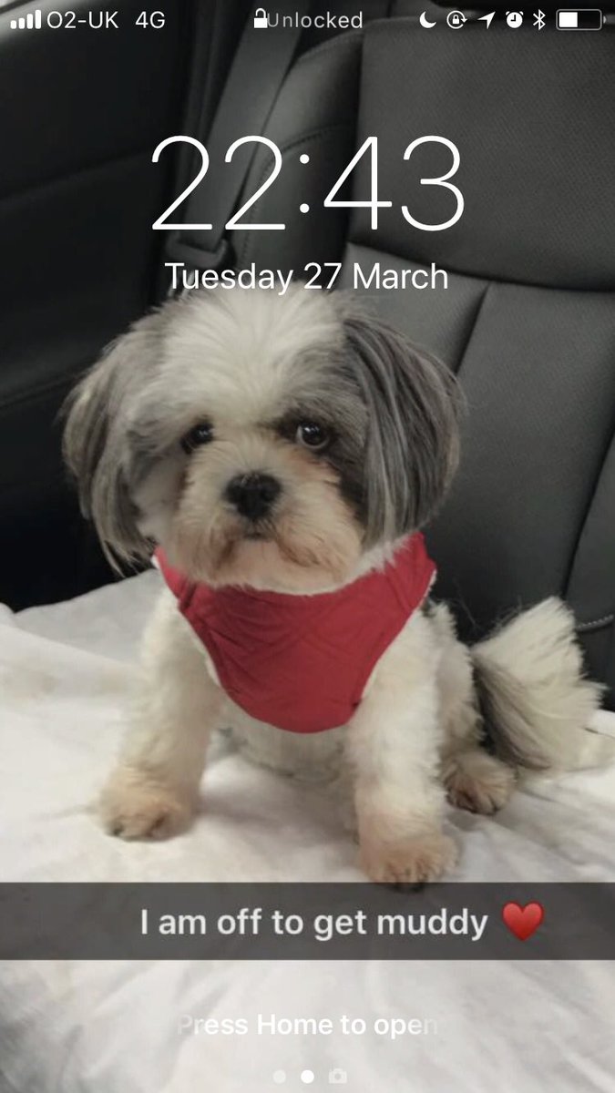 _lizzie13's tweet photo. When you turn your 3G on and let those messages roll in https://t.co/Rwid9EgbPd