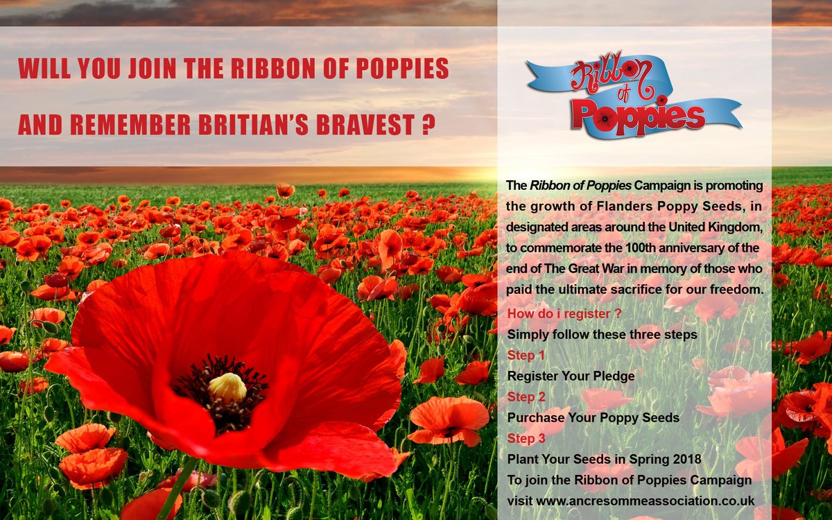 PARENTASA's tweet photo. Welcome Edgarstown Residents Association who have ordered their poppy seeds and pledged their support to @RibbonofPoppies For more information on how you or your group can get involved please visit https://t.co/PcGxC4ocRN https://t.co/h0xzRRGCyV