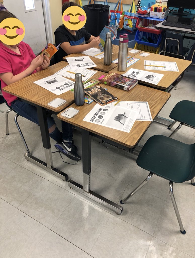 MissMastrobuono's tweet photo. Amazing animals research with my star students #studentteaching #thirdgrade #lovemyfuturejob https://t.co/1b15HgWwy4