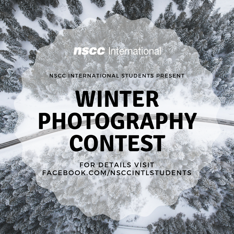 If you didn't know, our friends at NSCC International Students are hosting a #photocontest -- you have until March 31 to enter! Check out ow.ly/SUXp30jbKCK for more details.  | #nsccintl #nsccstudentlife #studyabroad #novascotia #yhz #wintertime #photography
