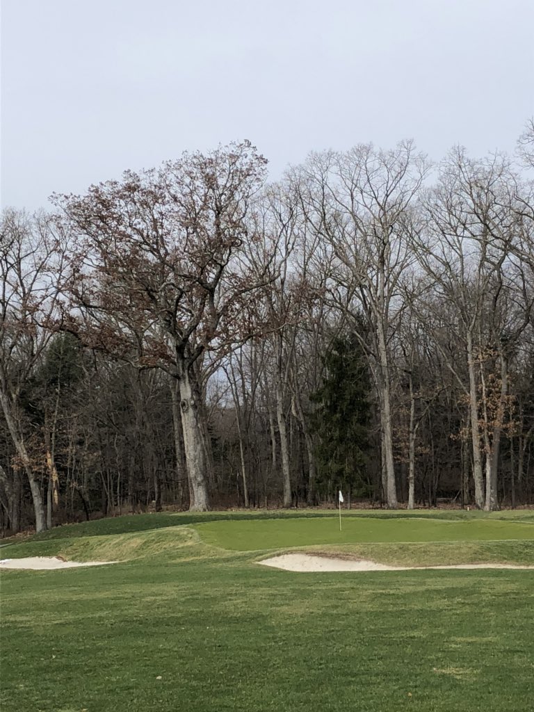 IM_Hoffmann's tweet photo. 200+ year old white oak removal on #6 Tee yesterday. Sad to see it go. https://t.co/1y4TGIoCAX