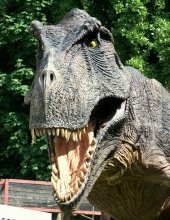Going to #Devon this #Easter2018? Take a look at this! #CombeMartinWildlifeAndDinosaurPark
#Devon #WTDWTK #WhatsOnDevon

whattodowiththekids.co.uk/places-to-visi…