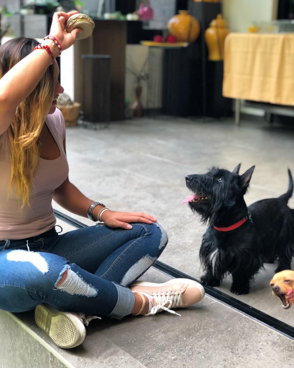 SxndyMX's tweet photo. Estaba observando esta foto de la tía y su perrito en instagram, cuando algo más captó mi atención. 😂💘 https://t.co/OTgFXkTotl