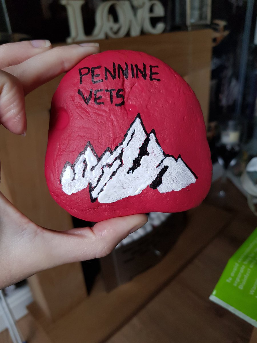 pennine_vets's tweet photo. We will be hiding these rocks in the village. If you find 1 over the easter holidays &amp; bring it back to the Tottington practice you will get a small prize. Happy hunting. #rammyrocks #Tottington #hideandseek #rockpainting #thisisCVS https://t.co/zrtHi8RhxK
