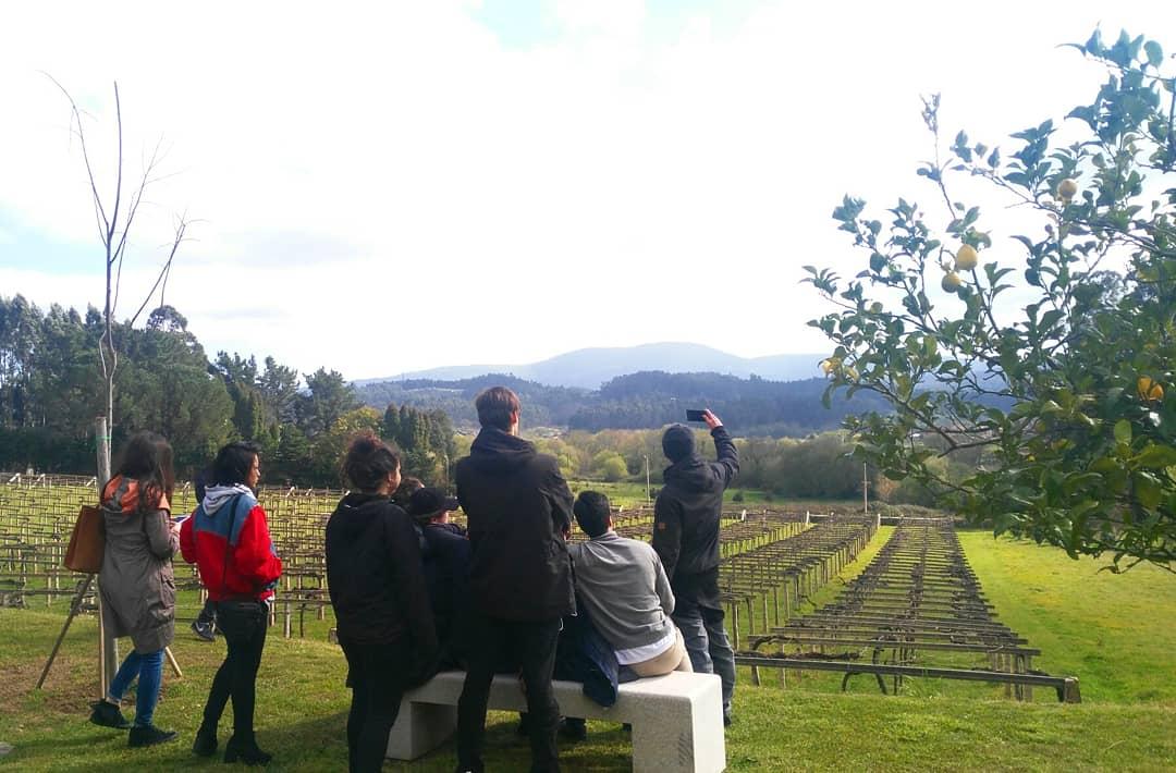 PazoBaion's tweet image. Hoy recibimos en #PazoBaion a los alumnos del #BasqueCulinaryCenter. ¡Gracias por vuestra visita y entusiasmo!😄