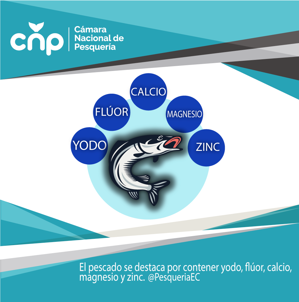 PesqueriaEc's tweet photo. Los minerales son necesarios para nuestro organismo. #CNPTeInforma @brunoleonep https://t.co/MUC21CYknO