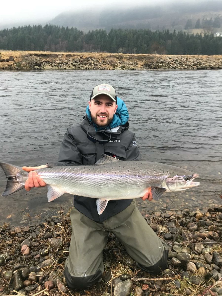 rivertummel's tweet image. @Greys_Fishing Pro team member Euan Millar with his first ever Spring Atlantic salmon on the Fly, measured in at 39”. Taken on a home tied willie Gunn variant from the Ferry Stream pool #monster #firstsalmon #rivertay #salmonfishingscotland
