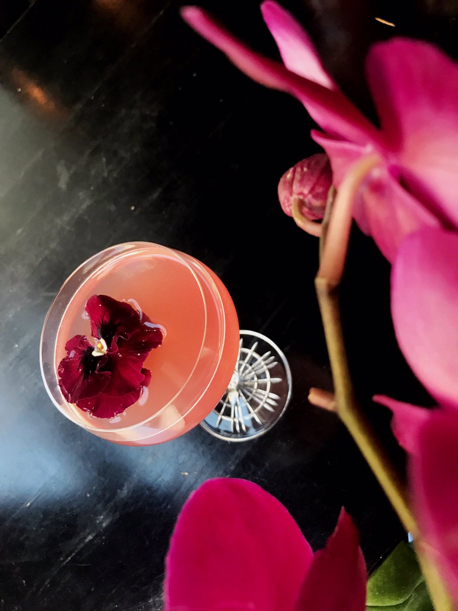We have a few new cocktails on the menu including this 'pompous rose' made with @rowhousespirits akvavit, green chartreuse and pomegranate.