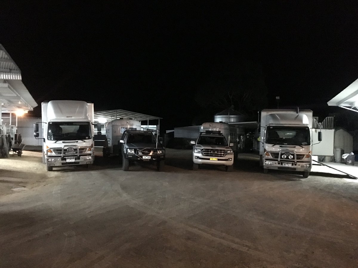 mwracing3638's tweet photo. Trial morning at Camperdown and the fleet is rearing to go #bringonthebool https://t.co/c7HcCfp2uG