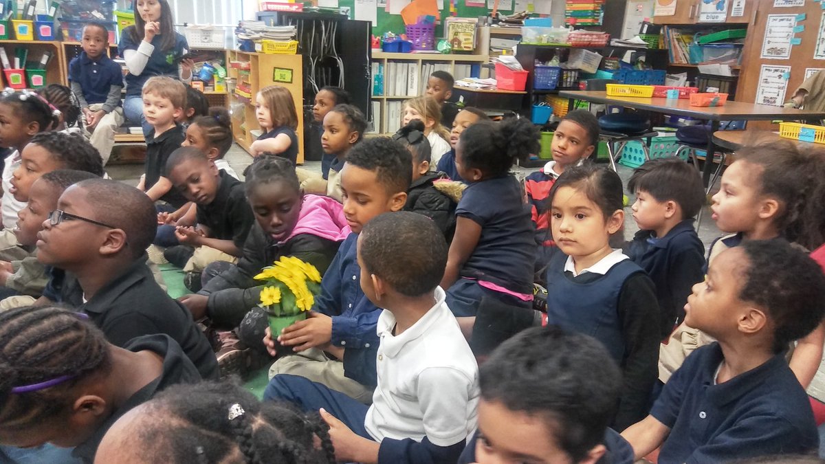 Cstjohn14's tweet photo. We were using our senses to gather information about plants today. #hfcemiway https://t.co/6CCXxw3L7C