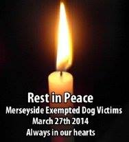 Team_DDAWatch's tweet photo. Always Remembered - Run Free At The Bridge xXx
#EndBSL #EndBSLWorldwide #Innocentdogs https://t.co/upIMVot308