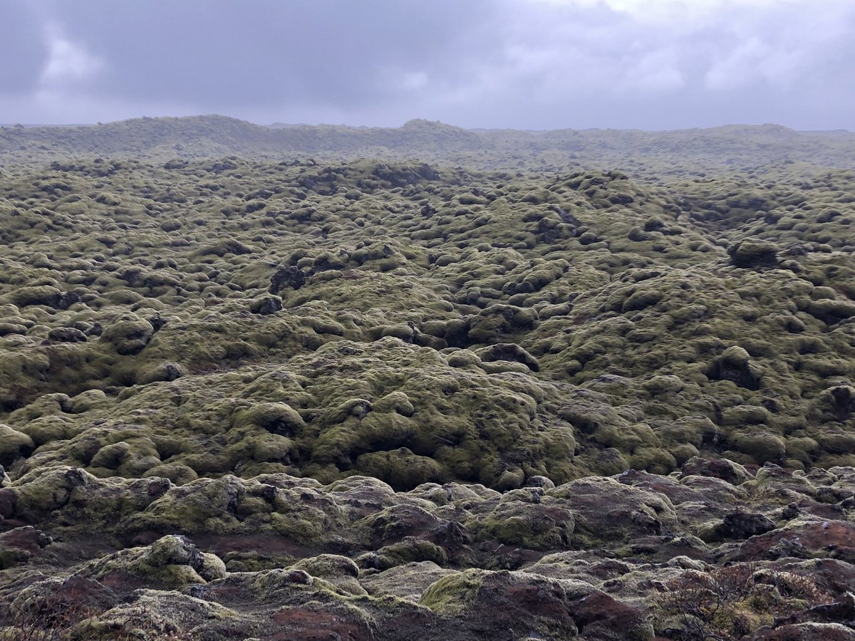 williammonty's tweet photo. Wonderful penultimate day of #bsfieldtrip Laki’s lava flow, ‘The Black Beach’ & Solheimerjokull oh...and a whole lot of waterfalls. @BSGeography legends born;
high-class group of glacier hikers! https://t.co/ksoynOnyUs