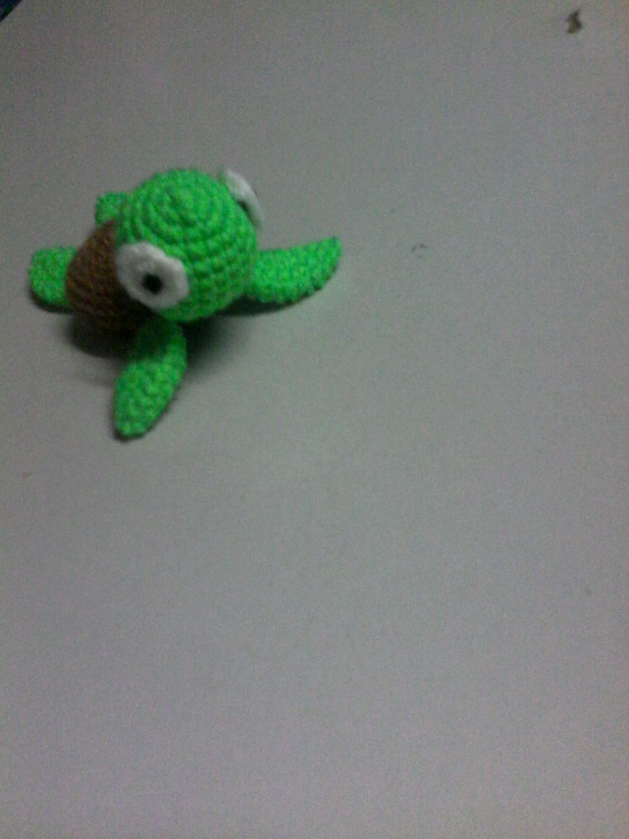 roxannecroche's tweet photo. #todayproject #turtle #amigurumi https://t.co/HcXEfIt0vf