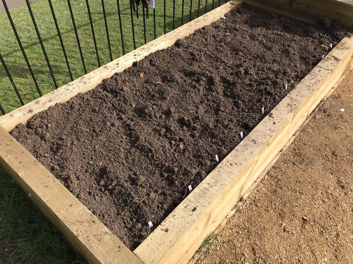 PickersleighCG's tweet photo. It may have been misty on the hills but we made the most of the sunshine in the garden this morning, digging over the beds and planting garlic, shallots and chives. 🌱 Don’t forget to join us next Wednesday (4th April) at 10am for the official opening of the garden 🌞 https://t.co/0SluRQYo0Q