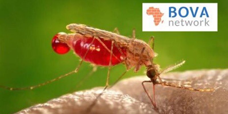 ARCHIVEglobal's tweet photo. ARCHIVE will be represented tomorrow at the inaugural BOVA Open Network Meeting in London! Our Project Manager, Sarah Ruel-Bergeron, will be presenting on our efforts towards malaria prevention in Africa.
https://t.co/fvvCKaK4Hm
#architectureforhealth #buildhealthdifferently https://t.co/of0699DG1o