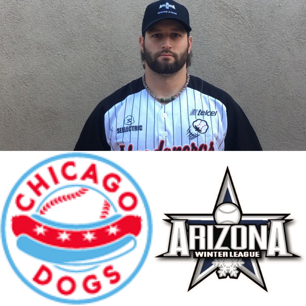 Pro Prospect Winter League tweet media