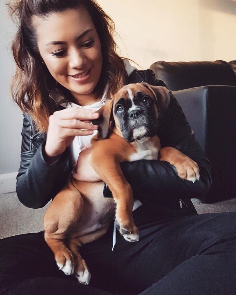 jessman_'s tweet photo. My cousins new puppy is adorable 🐶♥️ https://t.co/EXccwsKZRd