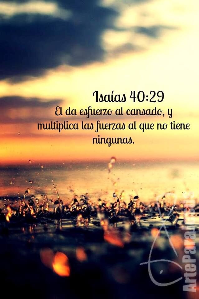 SANDRA GUTIERREZ (@sandy_guti_md) on Twitter photo Día 6 #RetoMeLevanto Isaías 40:29 Él da fuerzas al cansado y poder al indefenso. @NataliaNietoP <a href="/SuPresenciaIgle/">Iglesia El Lugar de Su Presencia</a> Día 6 #RetoMeLevanto Isaías 40:29 Él da fuerzas al cansado y poder al indefenso. @NataliaNietoP <a href="/SuPresenciaIgle/">Iglesia El Lugar de Su Presencia</a>
