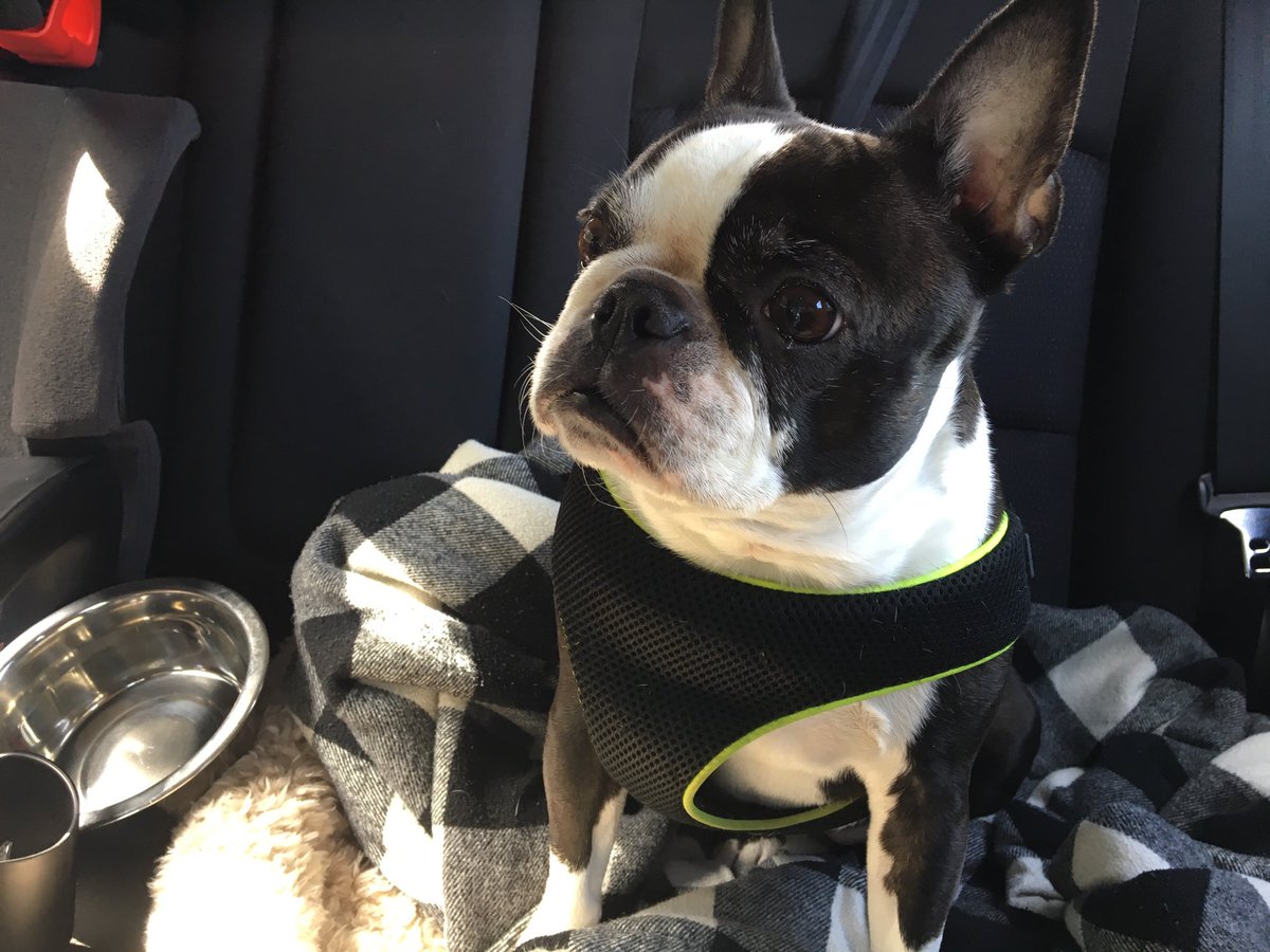 rubythebt's tweet image. Vacation!