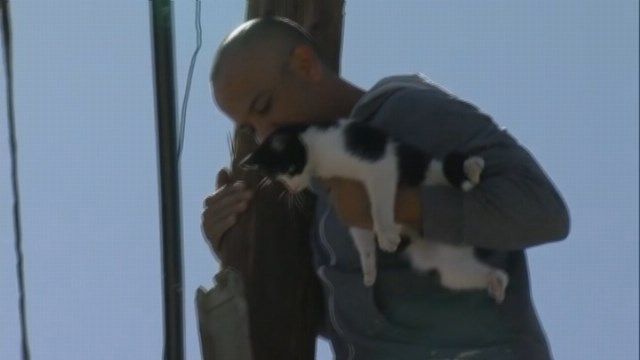 View image on Twitter