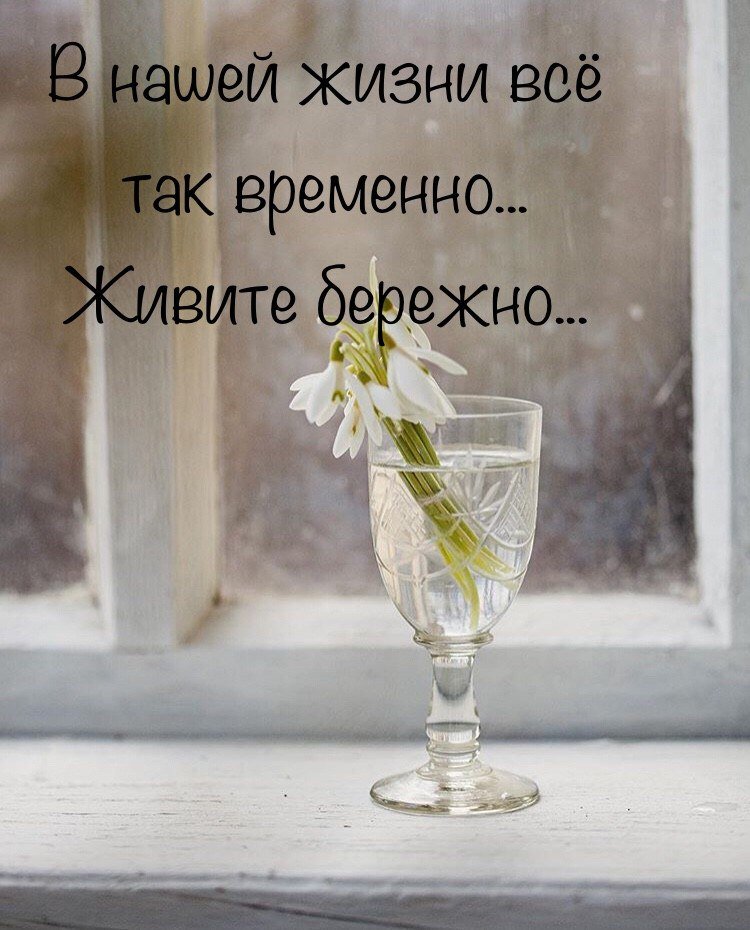 zotova_angel33's tweet image. ...