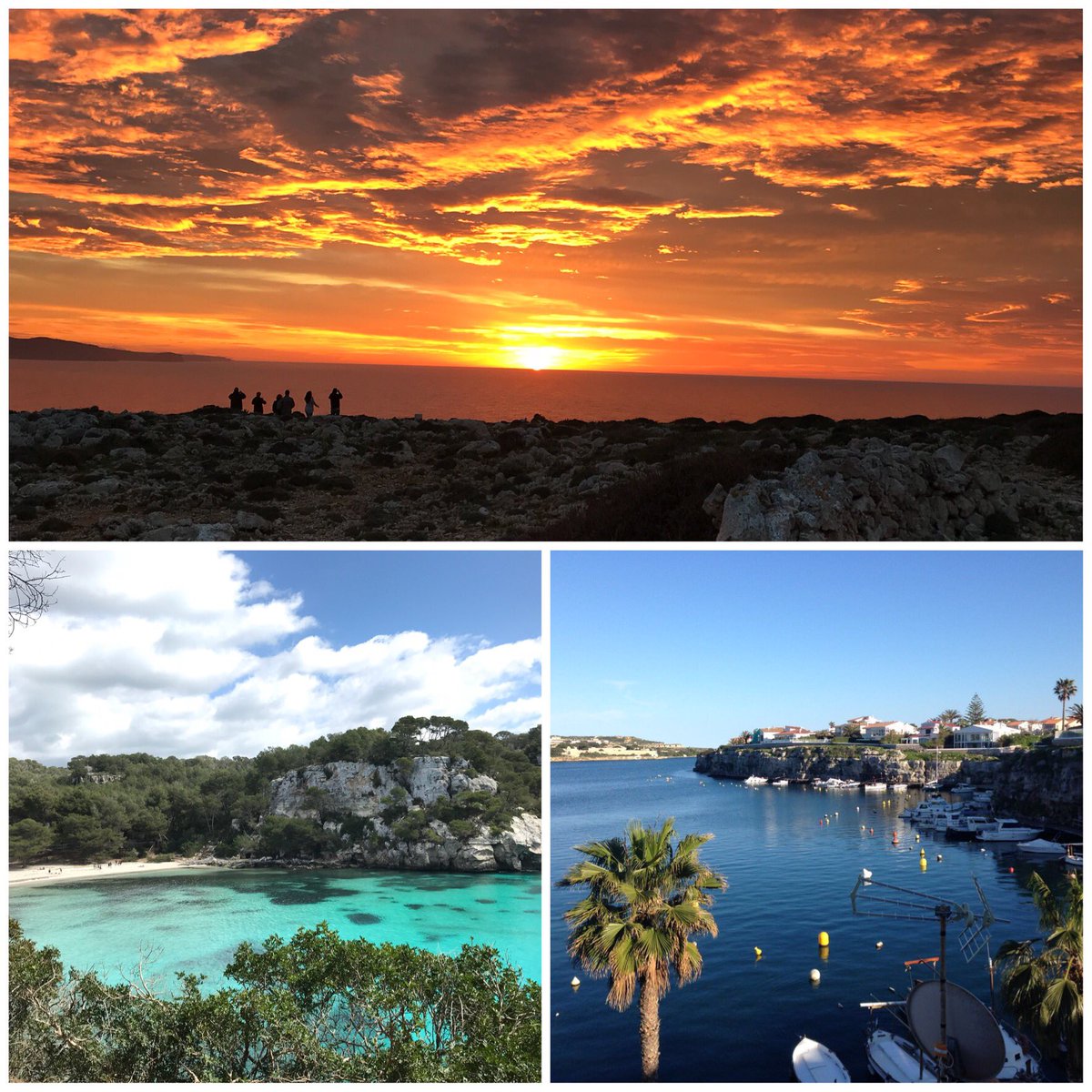 ALBERTO SEDANO tweet media