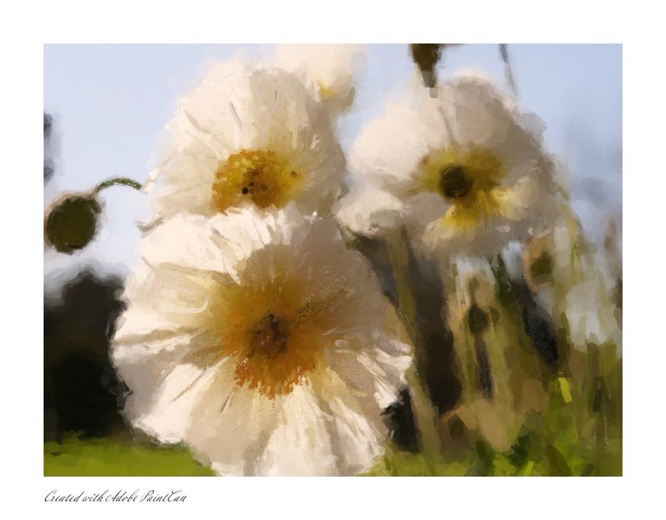 SuzetteAllen's tweet image. Roadtrippin’ and painting my images with @Adobe #PaintCanApp on my iPad in the car! I took this Image at the South Coast with the @CreativePhotoAcademy workshop yesterday. #lumixG9 #createontheGo #mobileArtlife #suzettesays #seeinspired #makeitwithmobile #photooftheday #84of365