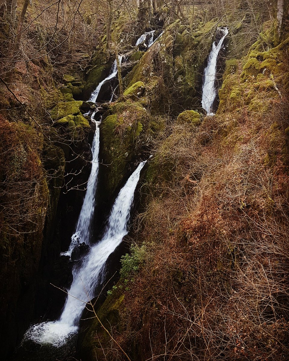 headtohills's tweet photo. RT @WainwrightRocks: Stock Ghyll Waterfall looking stunning! Great little family walk which only takes about 15 minutes from the centre Ambleside and well worth it next time you're there!

https://t.co/ZajSq3nR4q