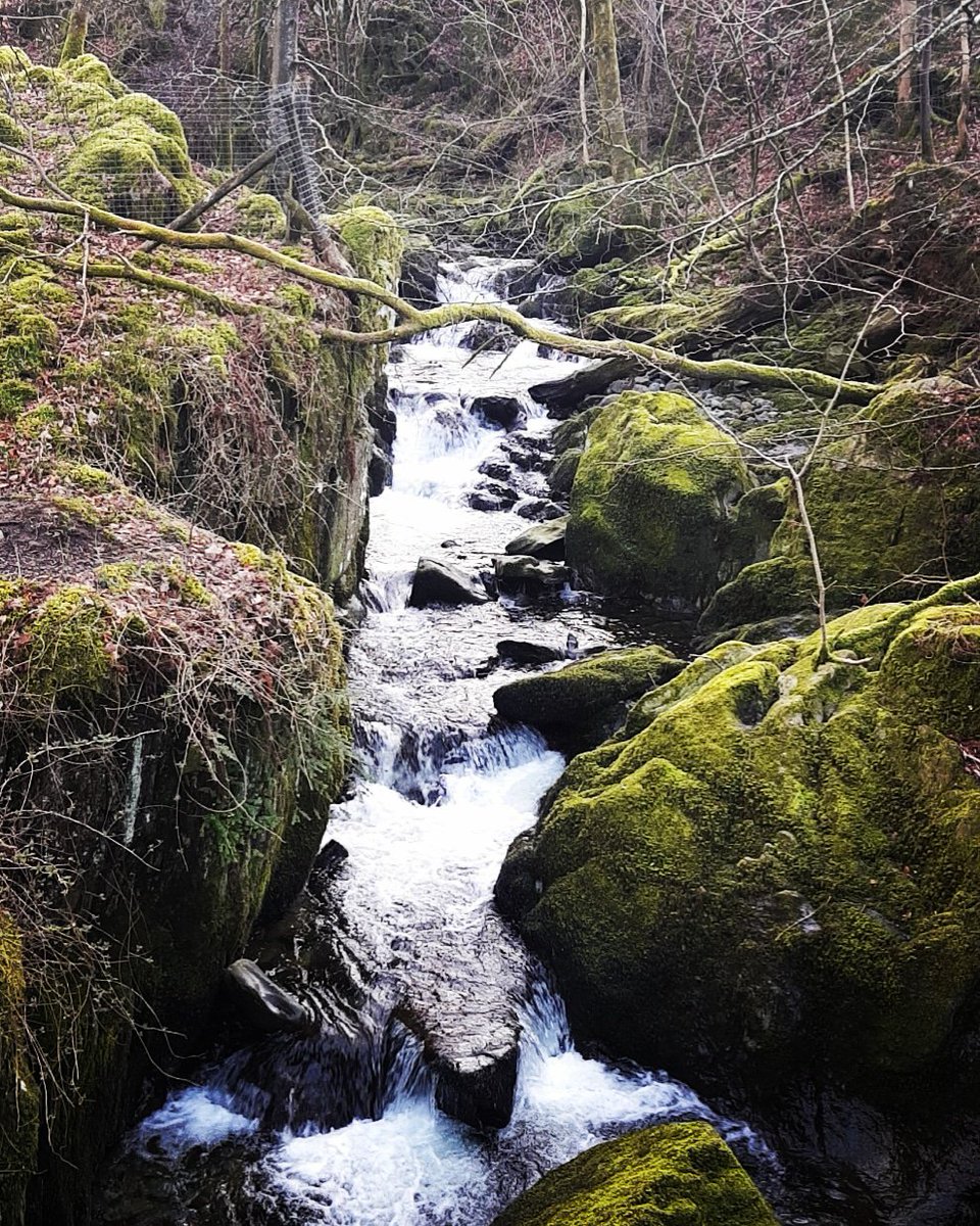RT <a href="/WainwrightRocks/">Wainwright Rocks 🤘</a>: Stock Ghyll Waterfall looking stunning! Great little family walk which only takes about 15 minutes from the centre Ambleside and well worth it next time you're there!