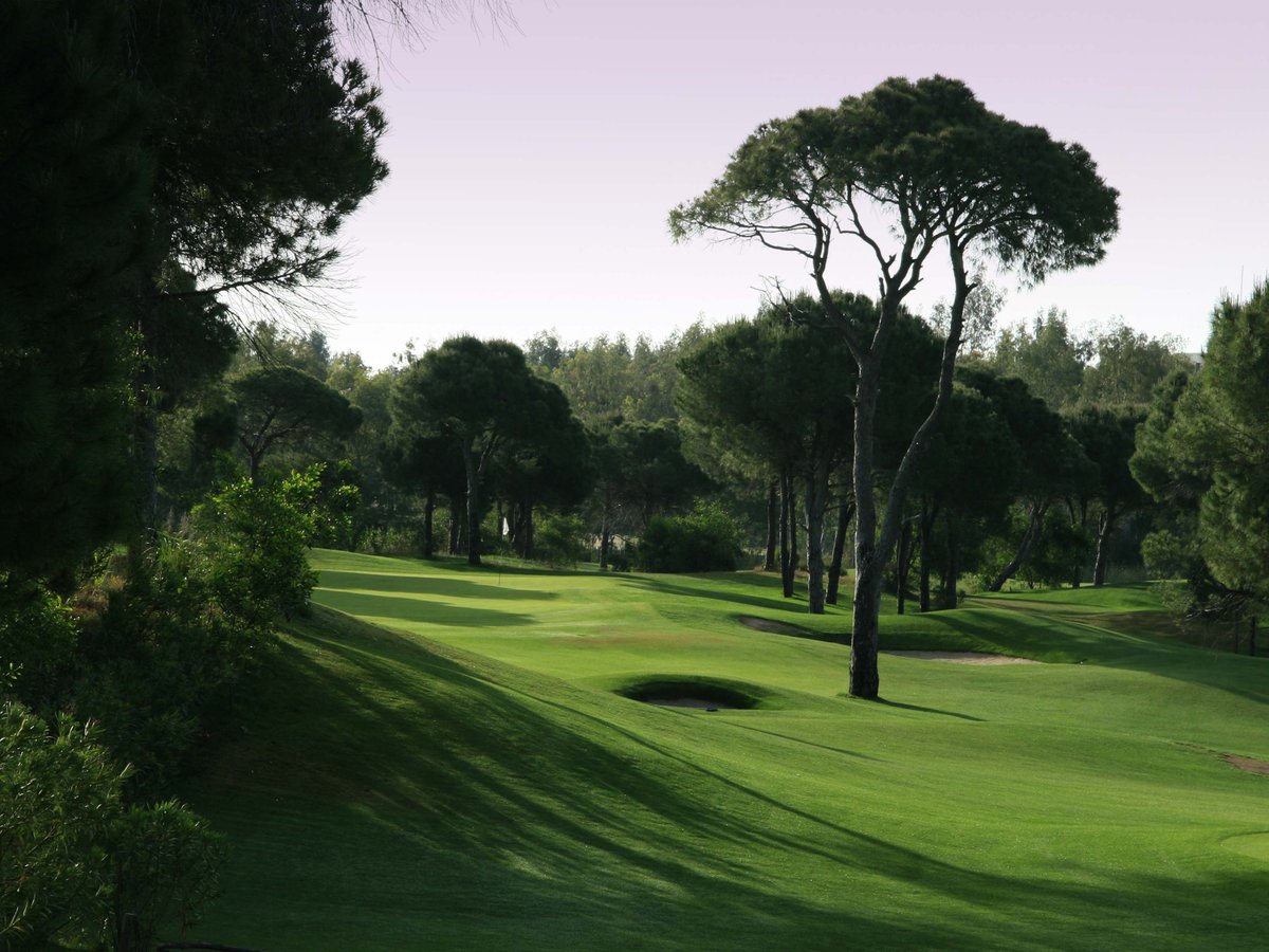 AlexaGolfTravel's tweet photo. Sirene Belek Hotel 7 Nights 4x Golf 1x Pasha, 1x The PGA Sultan, 1x National, 1x Carya Golf Club 

https://t.co/INGCBR2LvI https://t.co/QDIw82VHvm