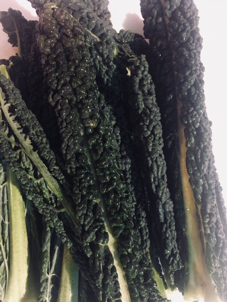PIFRUITS's tweet photo. Cavolo Nero Black Cabbage excellent dark green super greens 200g fantastic quality from @HerbFreshLLP #Greens #QuotableVegetables #cavolonero #cabbage #catering #freshproduce #ChefsTable #chefs #LondonEats #food #darkgreens #foodporn #restaurants https://t.co/3Hi3n6qIog