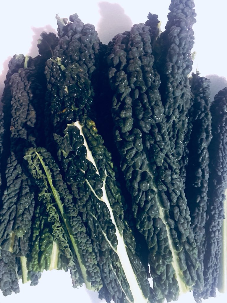 PIFRUITS's tweet photo. Cavolo Nero Black Cabbage excellent dark green super greens 200g fantastic quality from @HerbFreshLLP #Greens #QuotableVegetables #cavolonero #cabbage #catering #freshproduce #ChefsTable #chefs #LondonEats #food #darkgreens #foodporn #restaurants https://t.co/3Hi3n6qIog