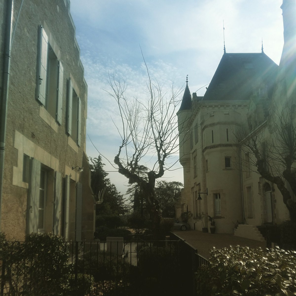 Soaking up the spring sun <a href="/LesCarrasses/">Les Carrasses</a> ... article coming soon in @iPaperTravel