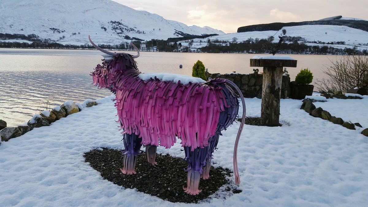 RobRoyCountry tweet media