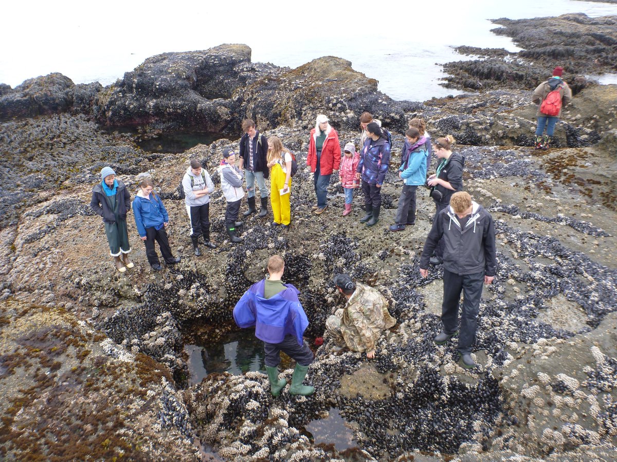 SoundScholars's tweet photo. Examples of local climate change research increases students' willingness to take action to fight climate change. Cool grad-led research from @UWBiology. #ConnectionToPlace #keepitlocal
https://t.co/dfgMTNM2Qj https://t.co/S6ZYyy9iu3