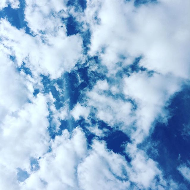 Krishan Meetoo tweet media