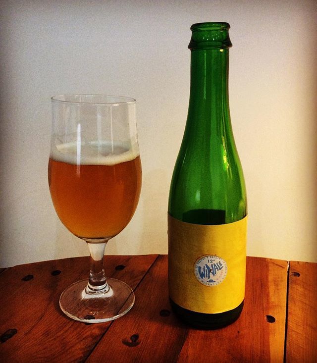jimswallace's tweet photo. Had been keeping this one back because I wasn’t too sure about it. Turns out it was delicious!

#Mikkeller 12” Winale b-sides
‘Ale brewed with lactose and grapes’ https://t.co/ixkuUwrIG0 https://t.co/6WRA5t9WJP