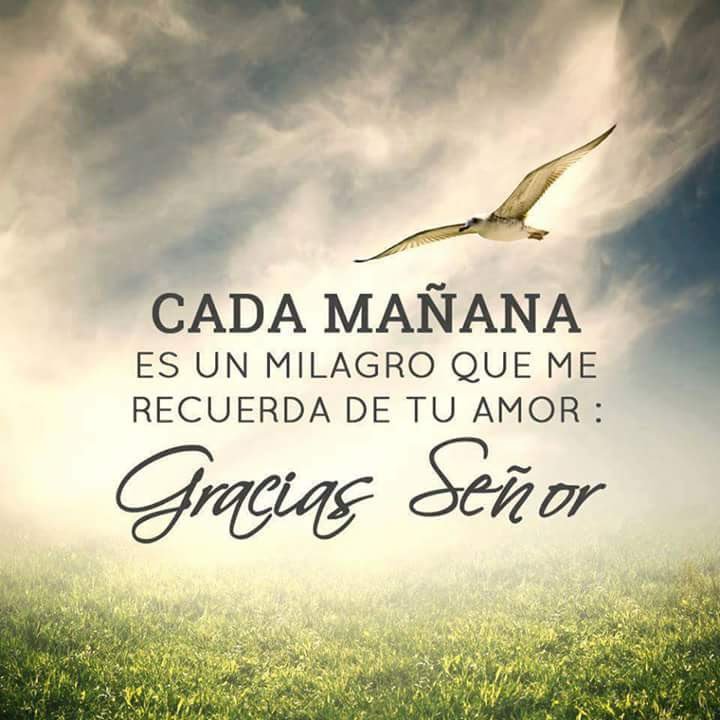 Parroquia2020's tweet photo. #agradecidosconnuestrocreador https://t.co/QwD9Q6B7Tv