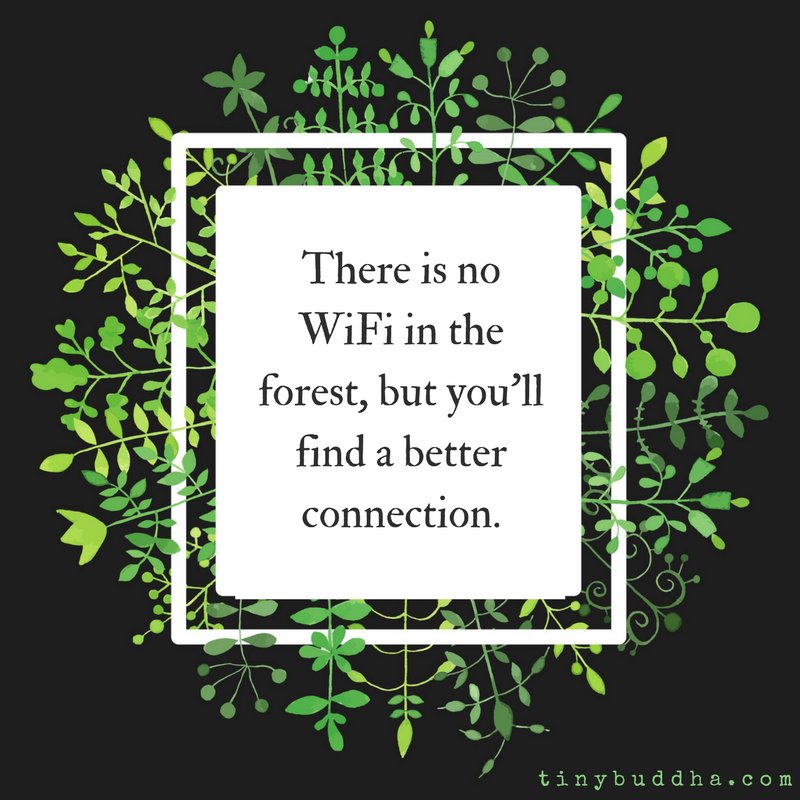 tinybuddha's tweet photo. There's no WiFi in the forest, but you'll get a better connection. https://t.co/z81zDPij28