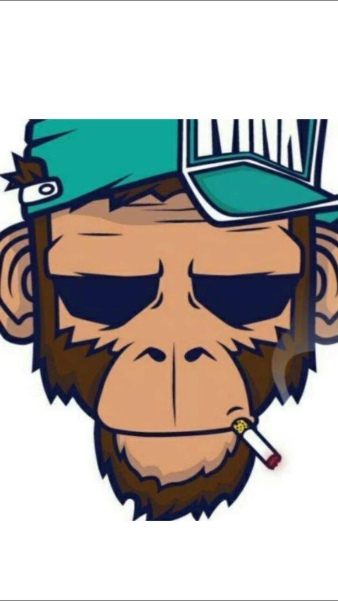 Copa Monkeys CR tweet media
