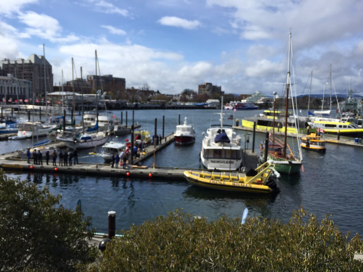 DANMCINTOSHCTV's tweet photo. A lot of inner harbour action. https://t.co/Man4CQRr53